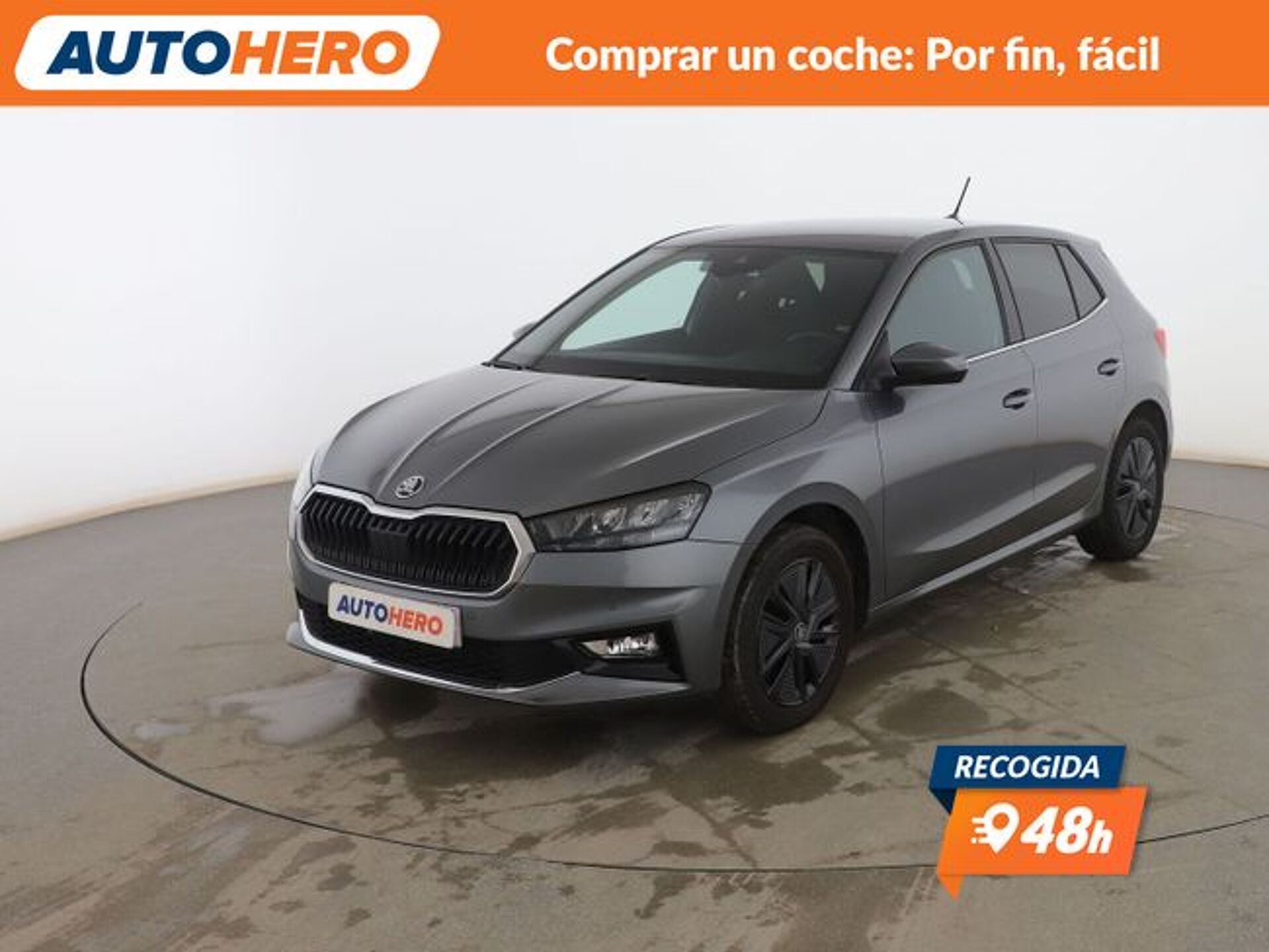 Imagen 1 de SKODA Fabia