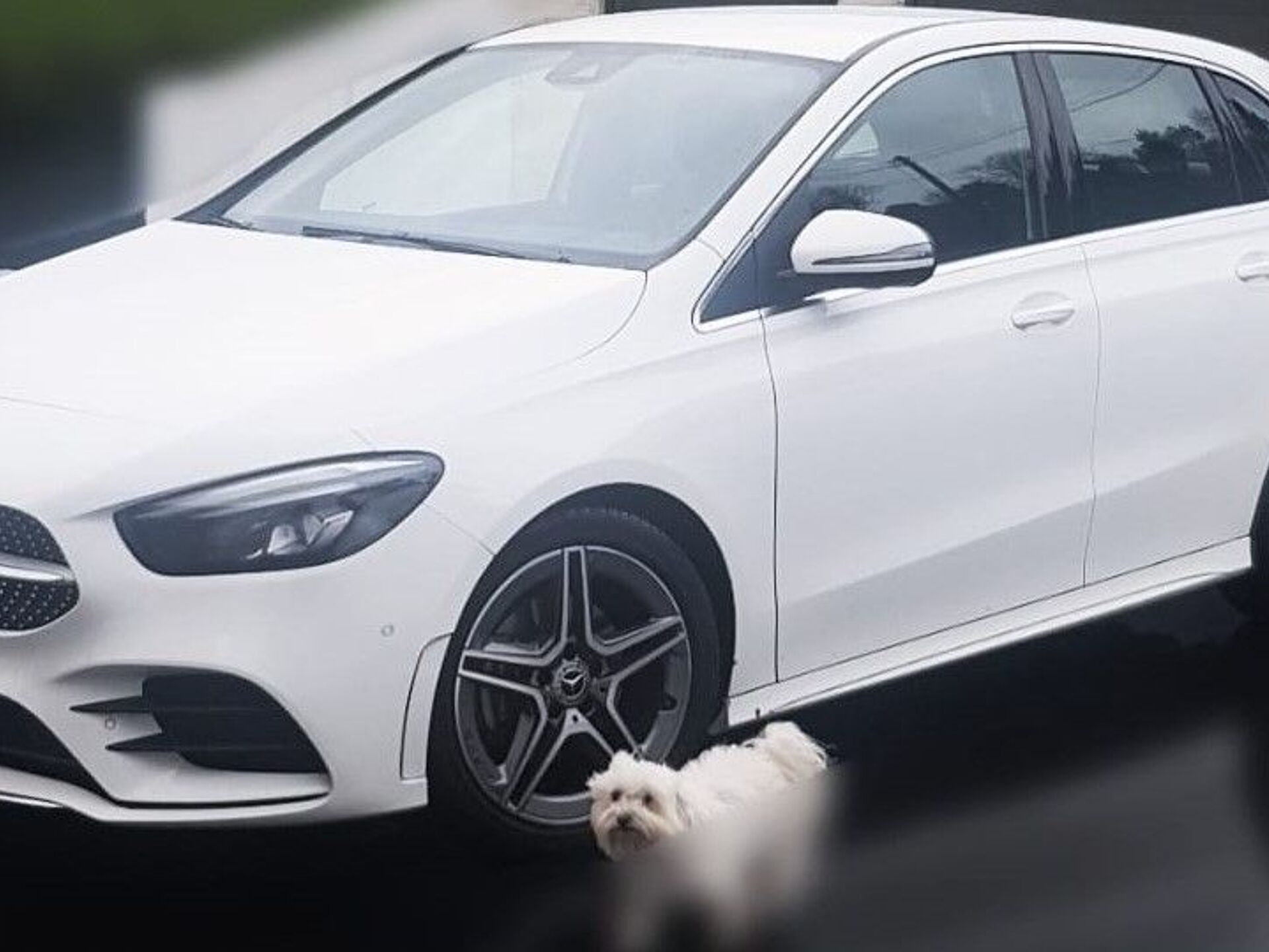 Imagen de MERCEDES Clase B