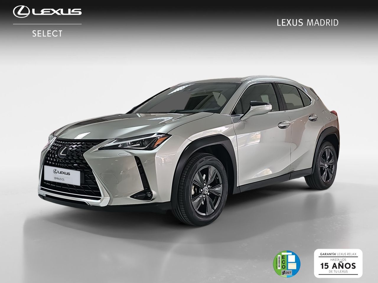 LEXUS UX (2.0 250h Business) en Madrid