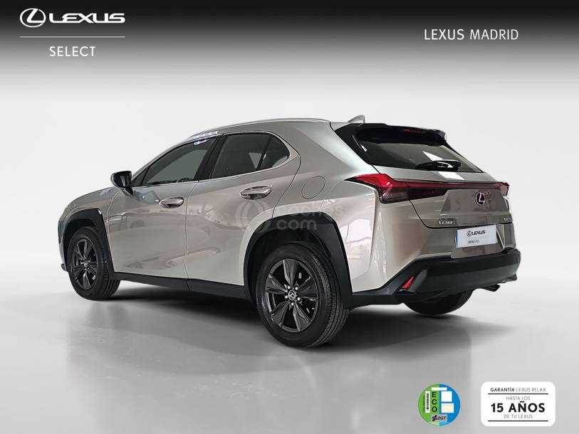 Foto del LEXUS UX 250h Business 4WD