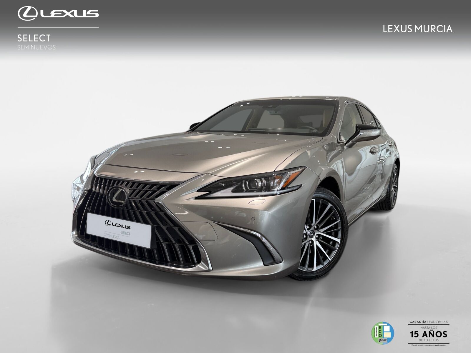 LEXUS ES (300h PREMIUM) en Murcia