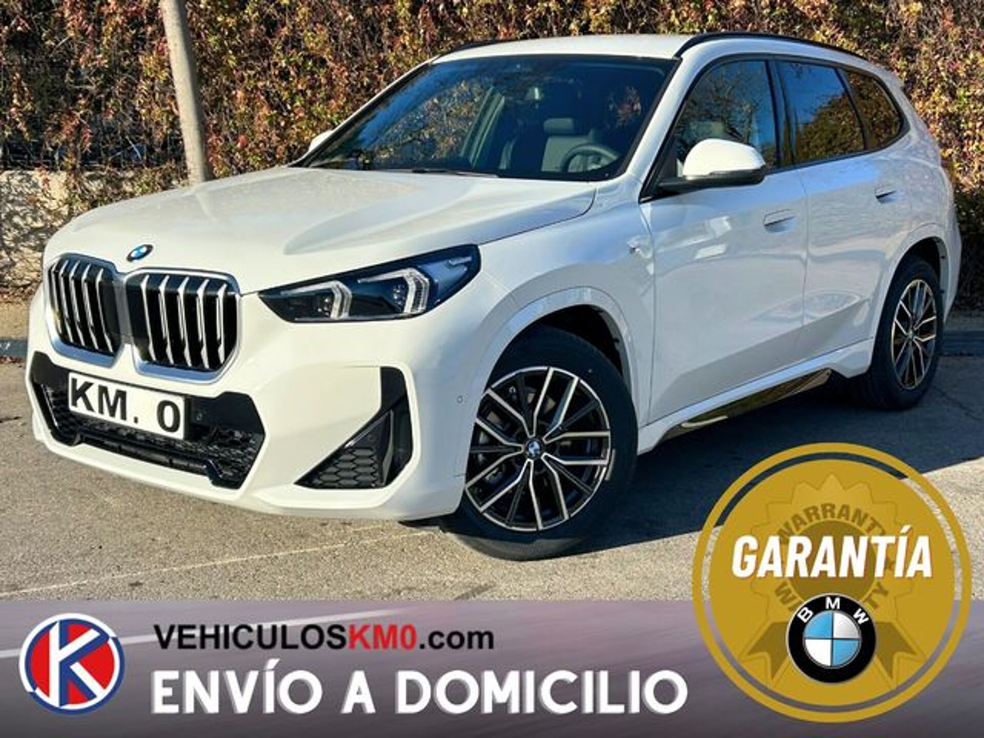 Imagen de BMW X1