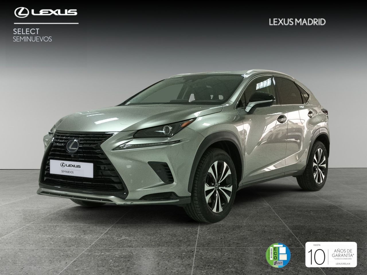 LEXUS NX (2.5 300h Premium 2WD) en Madrid