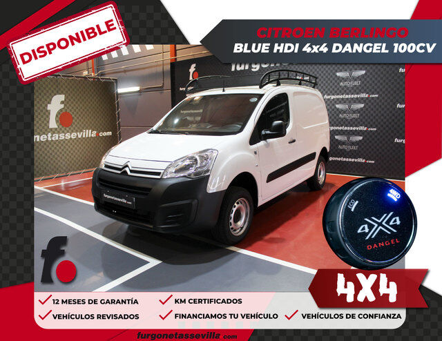 CITROEN Berlingo Furgón 1.6BlueHDi Dangel 4x4 100