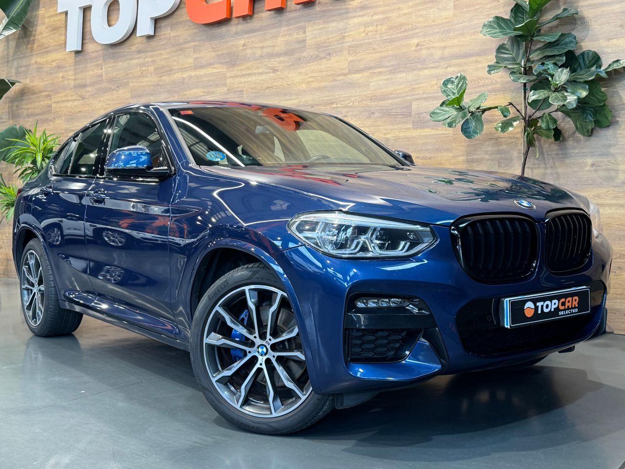 BMW X4 (3.0D Xdrive   M Sport) en Vizcaya