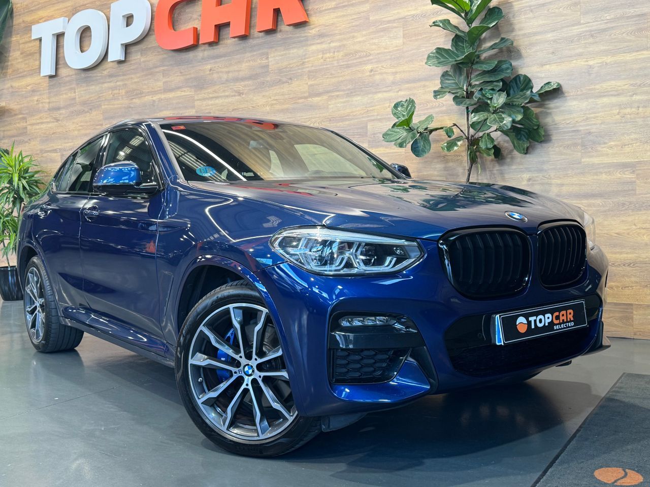 BMW X4 (3.0D Xdrive   M Sport) en Vizcaya