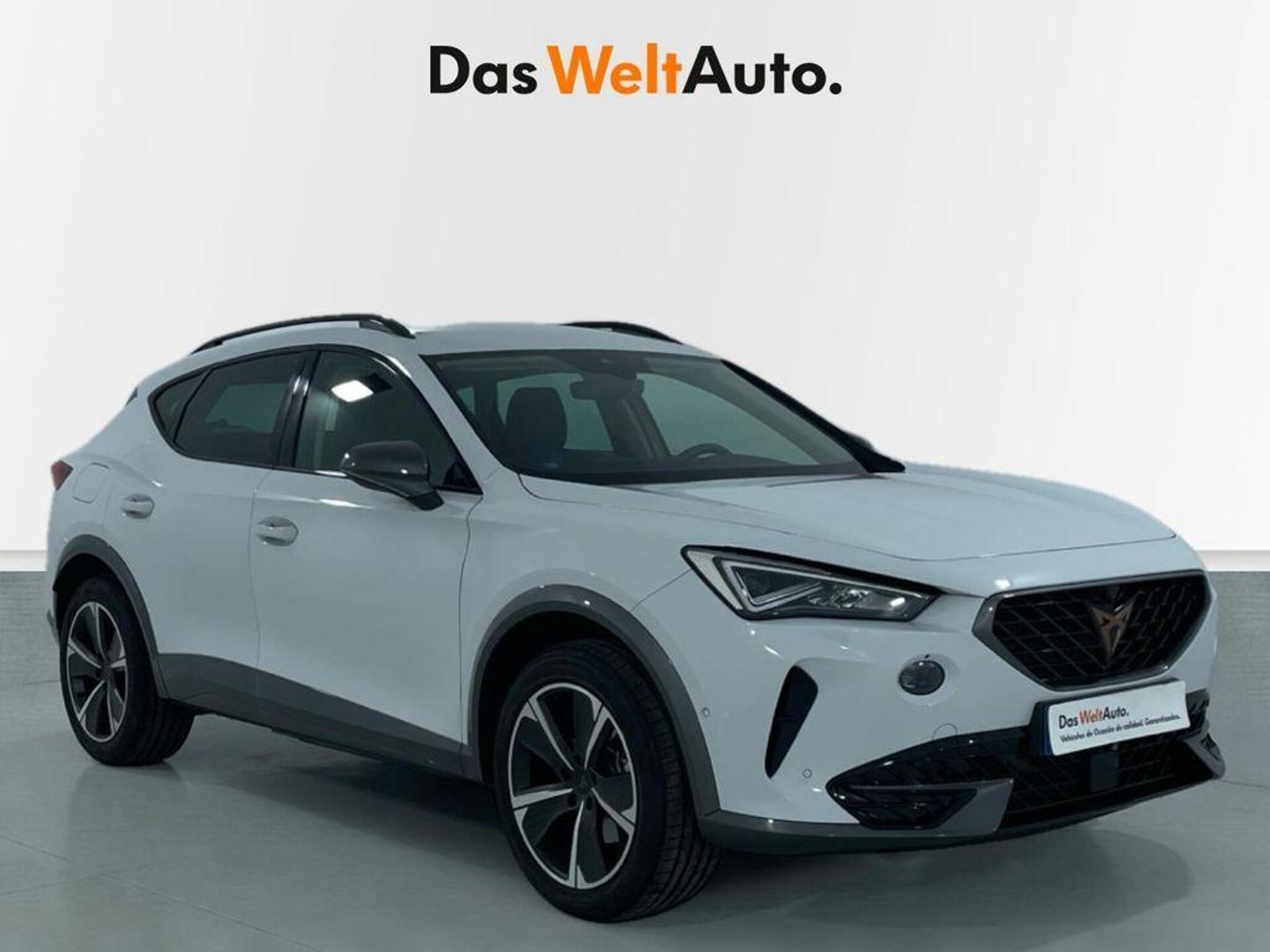 Imagen de CUPRA Formentor