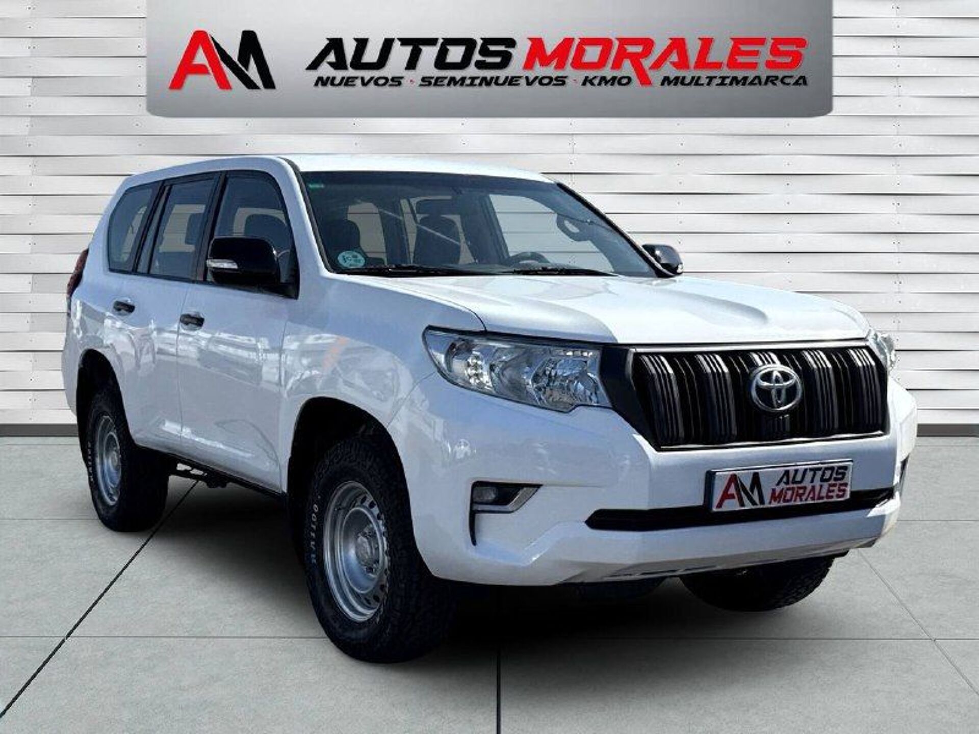 Imagen 2 de TOYOTA Land Cruiser