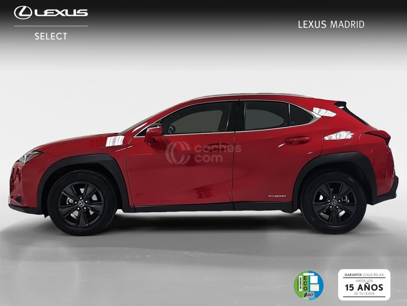 Foto del LEXUS UX 250h Business 4WD