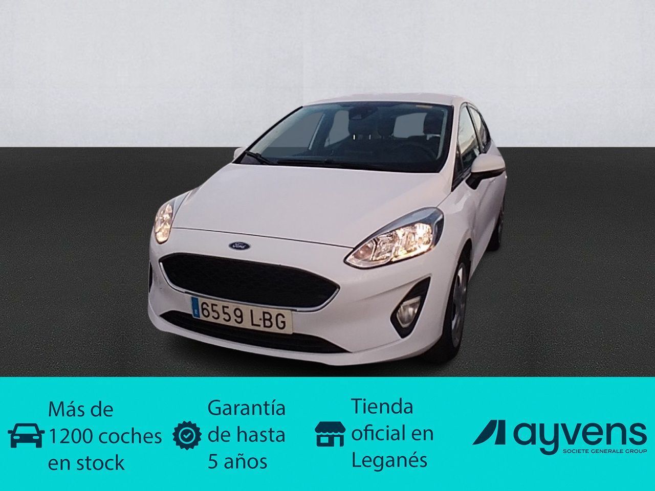 FORD Fiesta (1.0 EcoBoost S&S Trend 74 kW (100 CV)) en Madrid