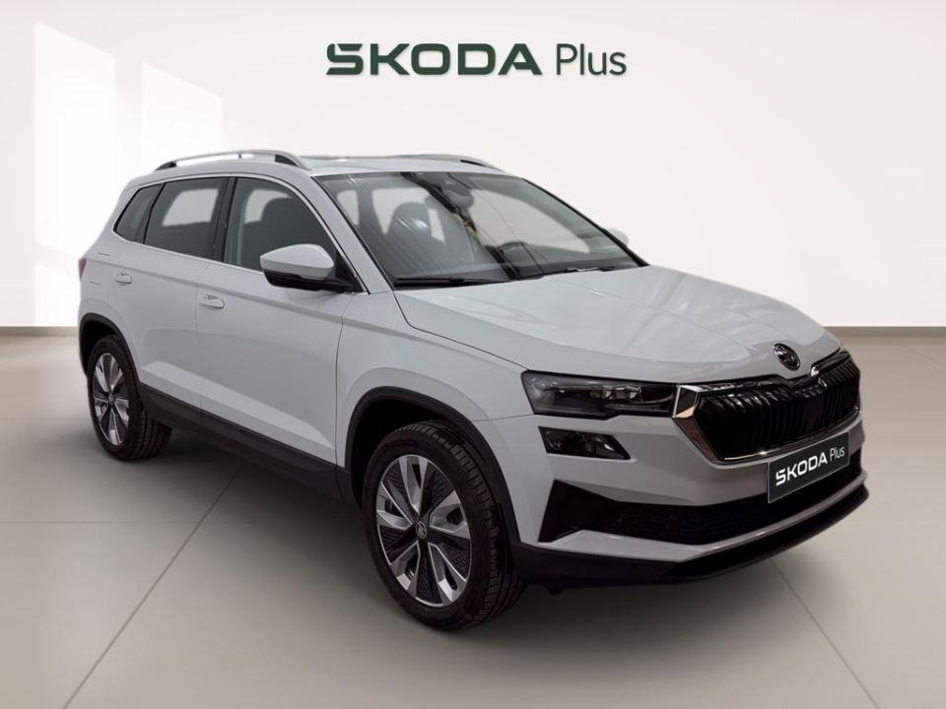 Imagen de SKODA Karoq