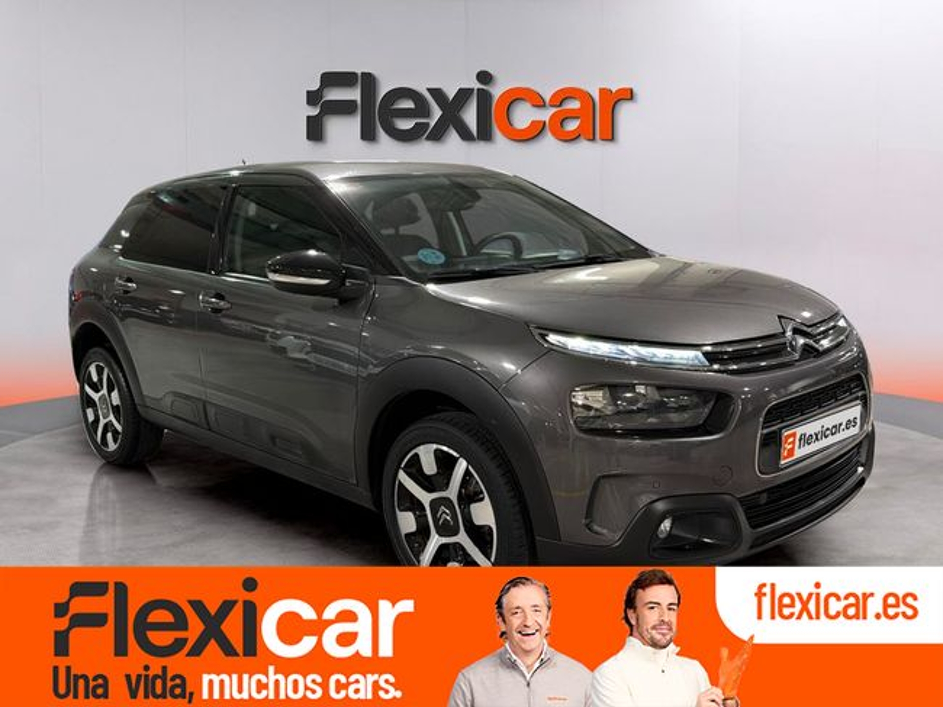 Imagen de CITROEN C4 Cactus