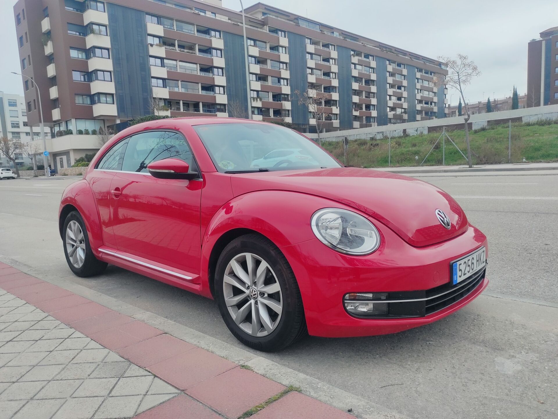 Imagen 3 de VOLKSWAGEN Beetle