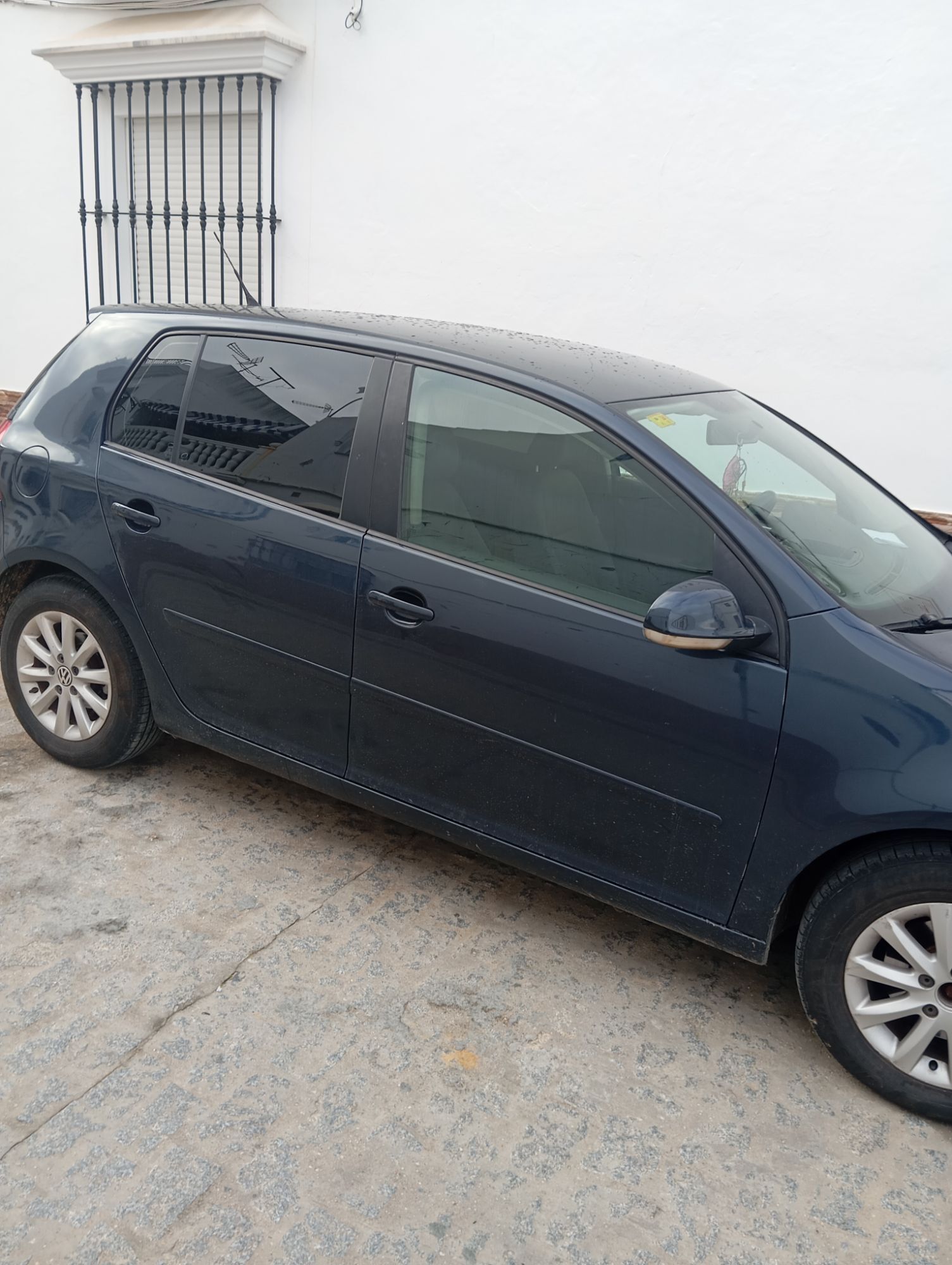 Foto del VOLKSWAGEN Golf Cross 1.9TDI