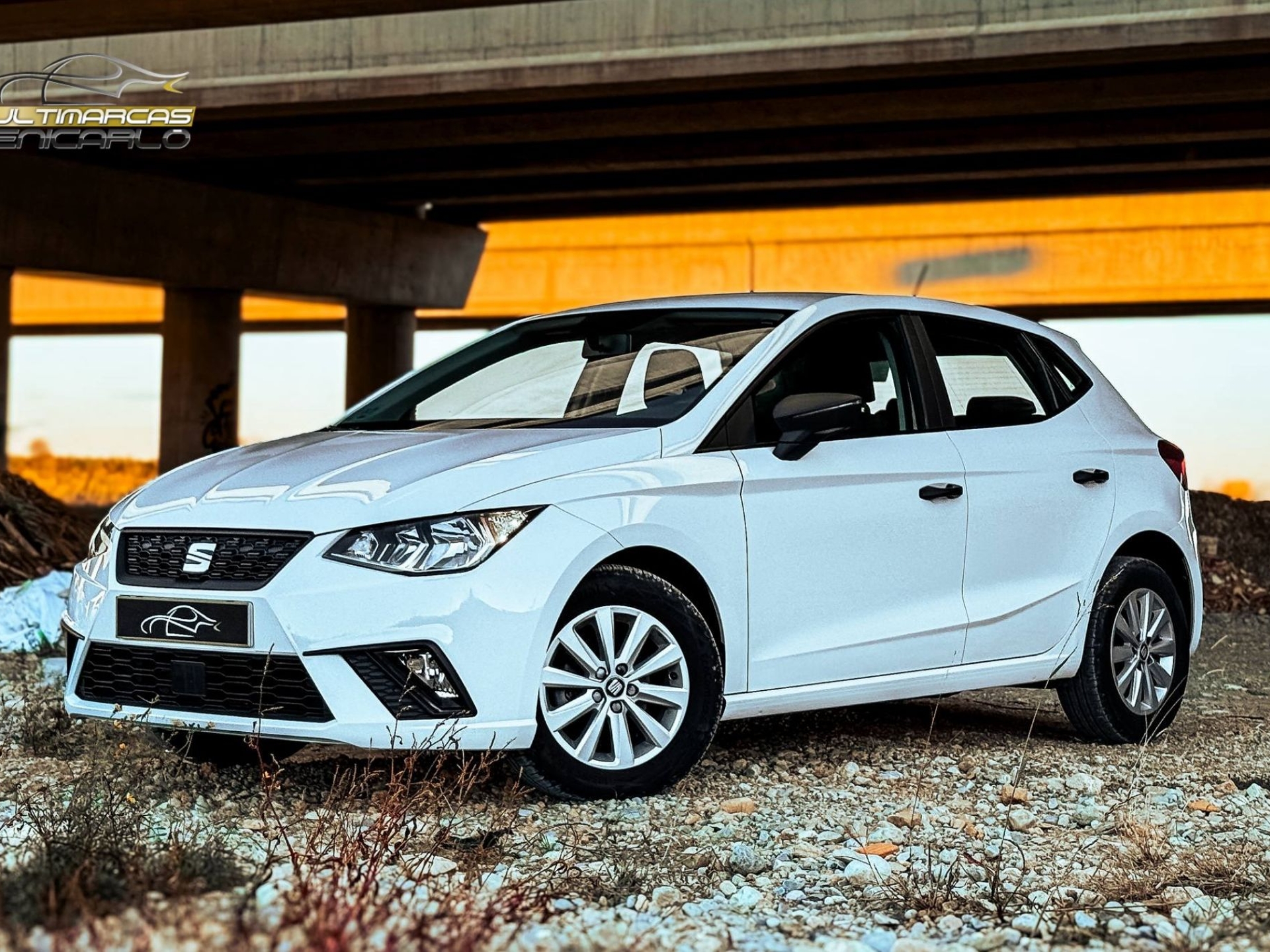 Imagen de SEAT Ibiza