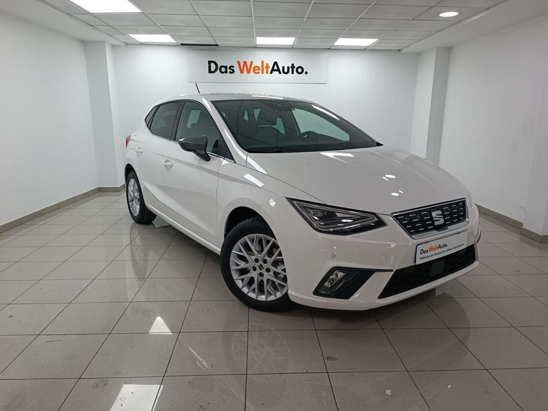 Imagen 1 de SEAT Ibiza