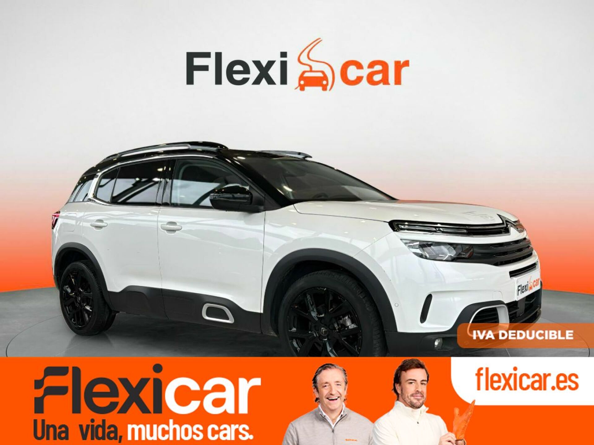Imagen de CITROEN C5 Aircross