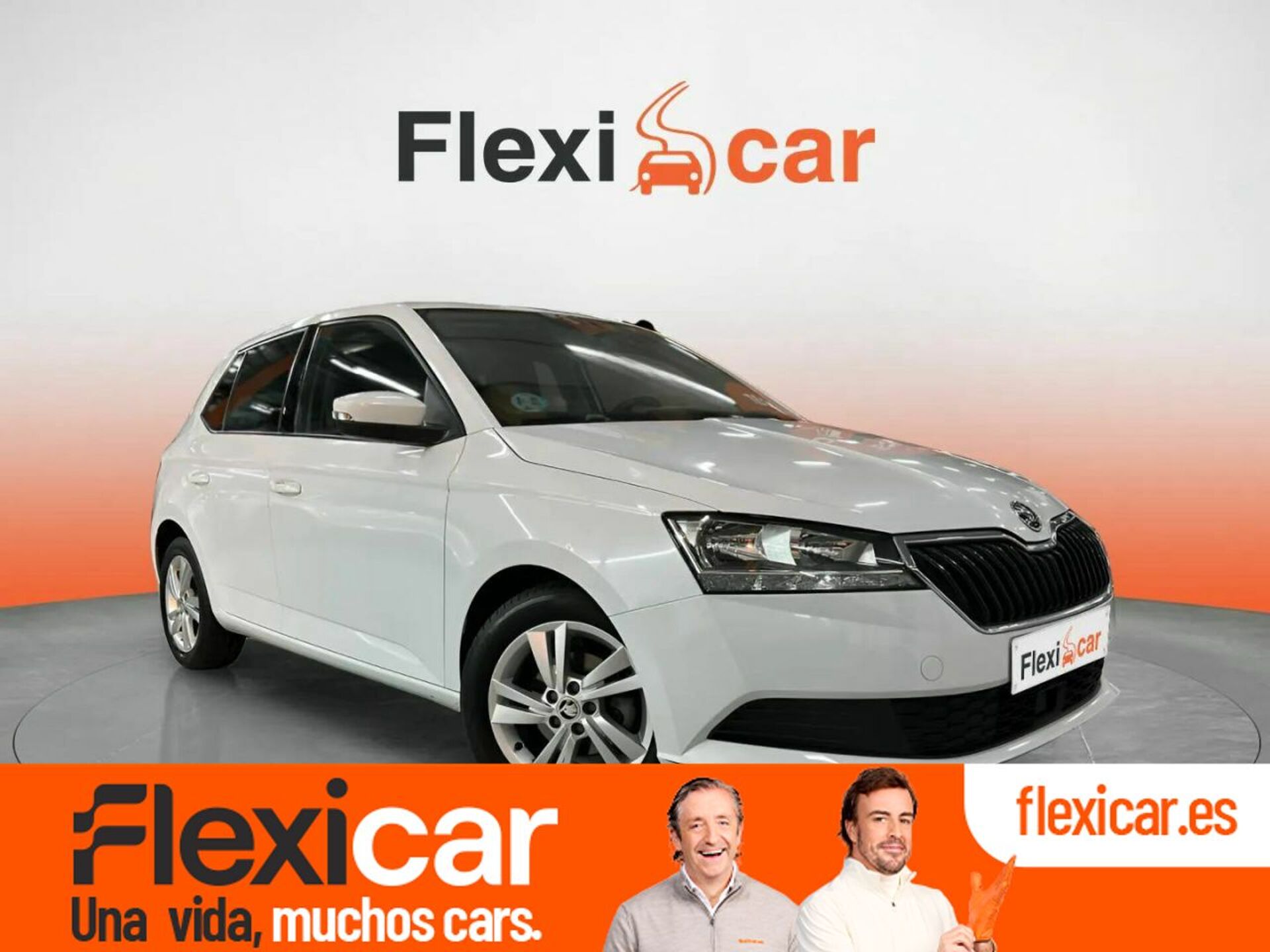 Imagen de SKODA Fabia