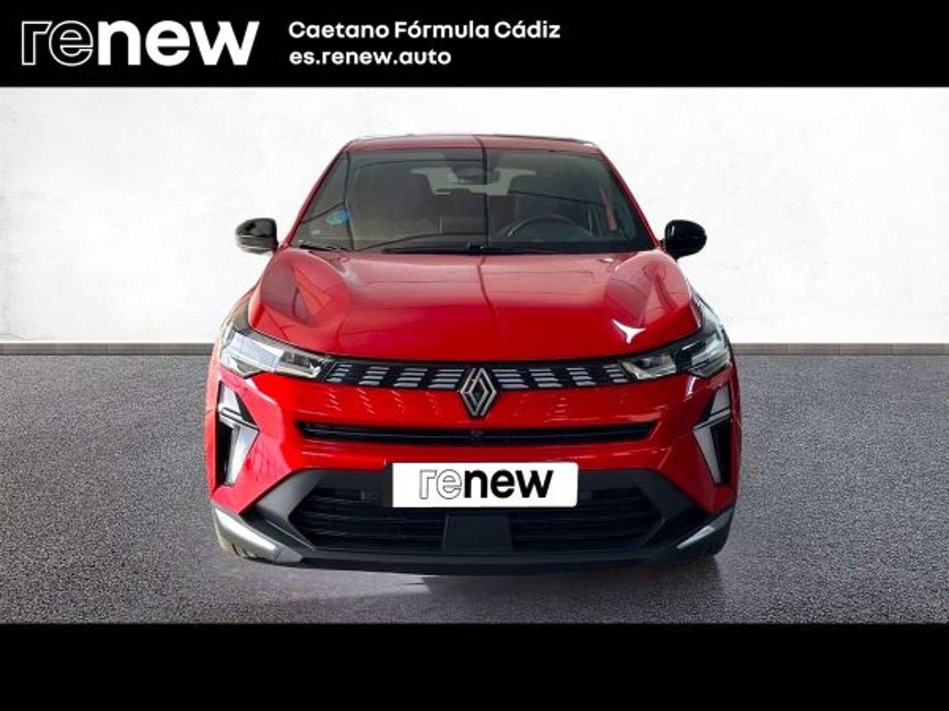 Imagen 2 de RENAULT Symbioz