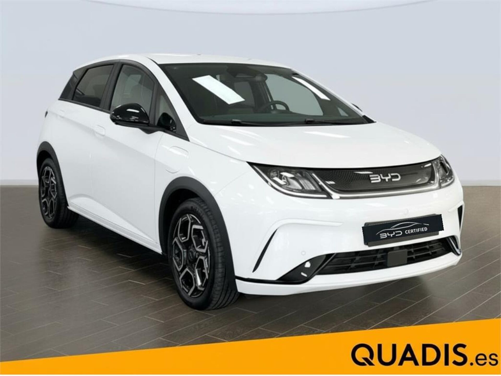 Imagen 3 de BYD Dolphin