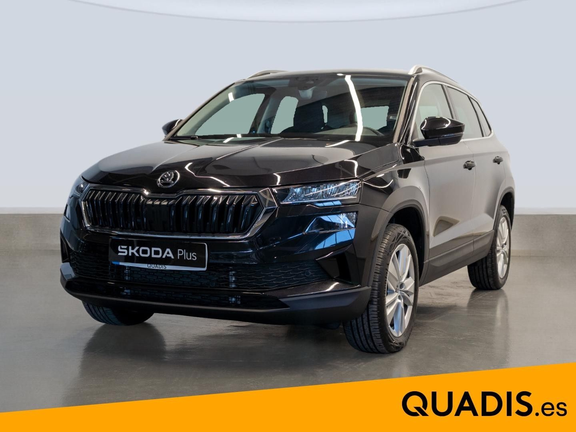 Imagen de SKODA Karoq