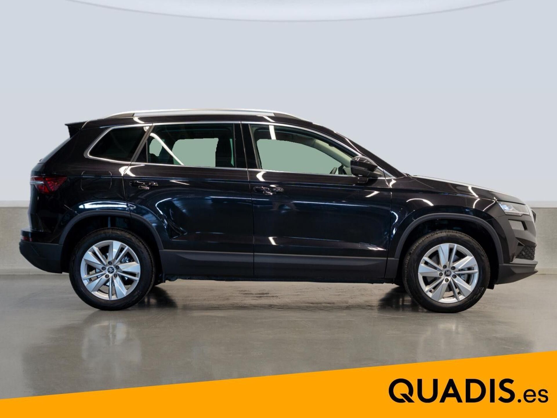 Imagen 3 de SKODA Karoq