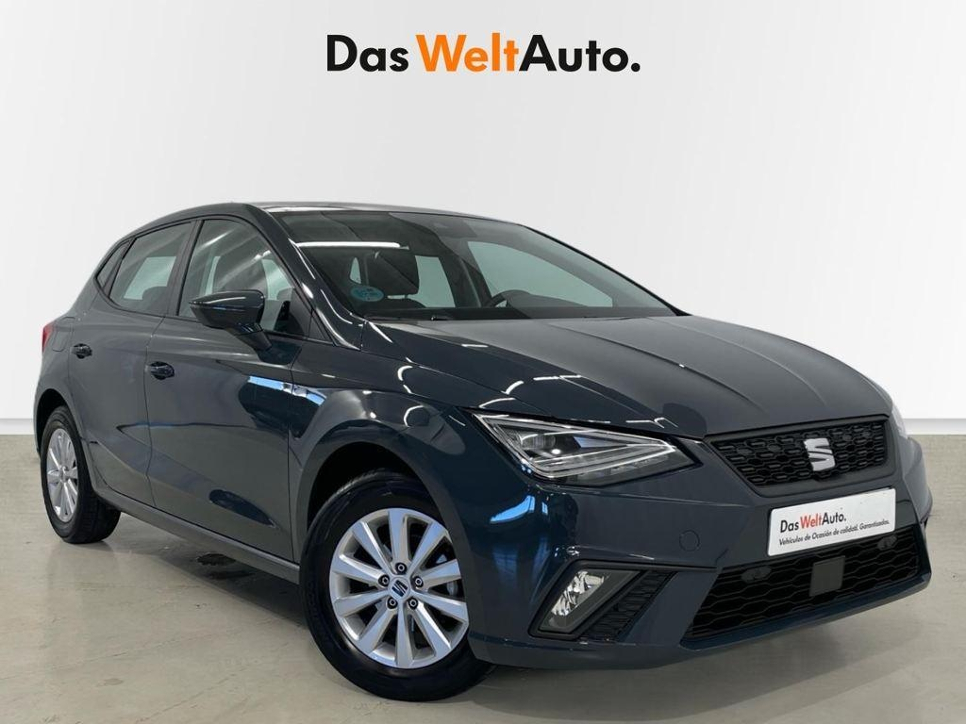 Imagen de SEAT Ibiza