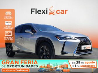 Imagen de LEXUS UX 250h Business 2WD