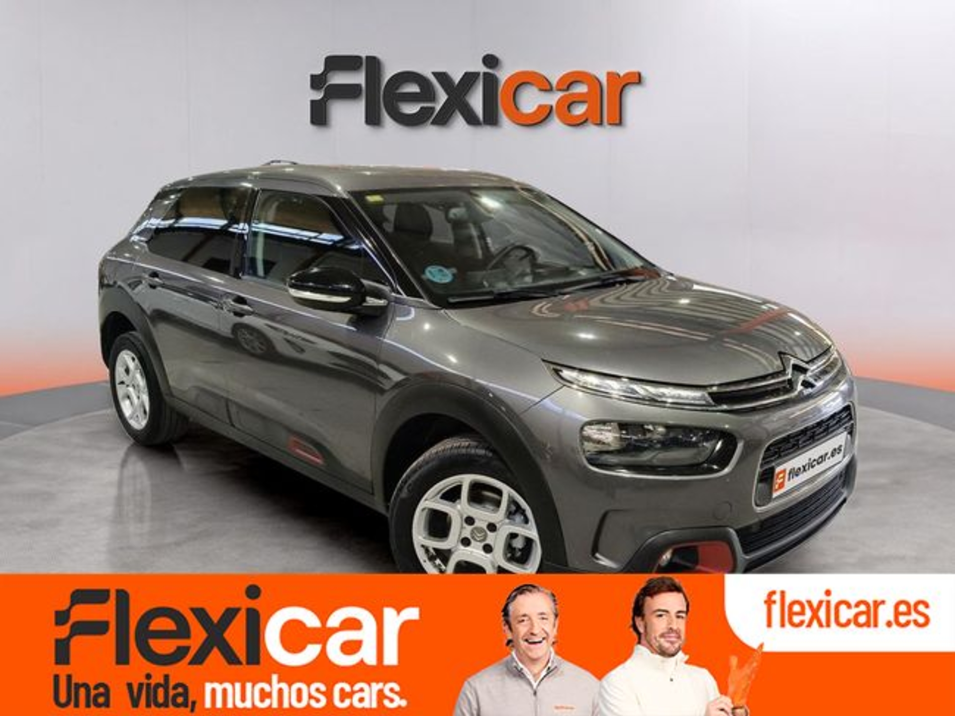 Imagen de CITROEN C4 Cactus