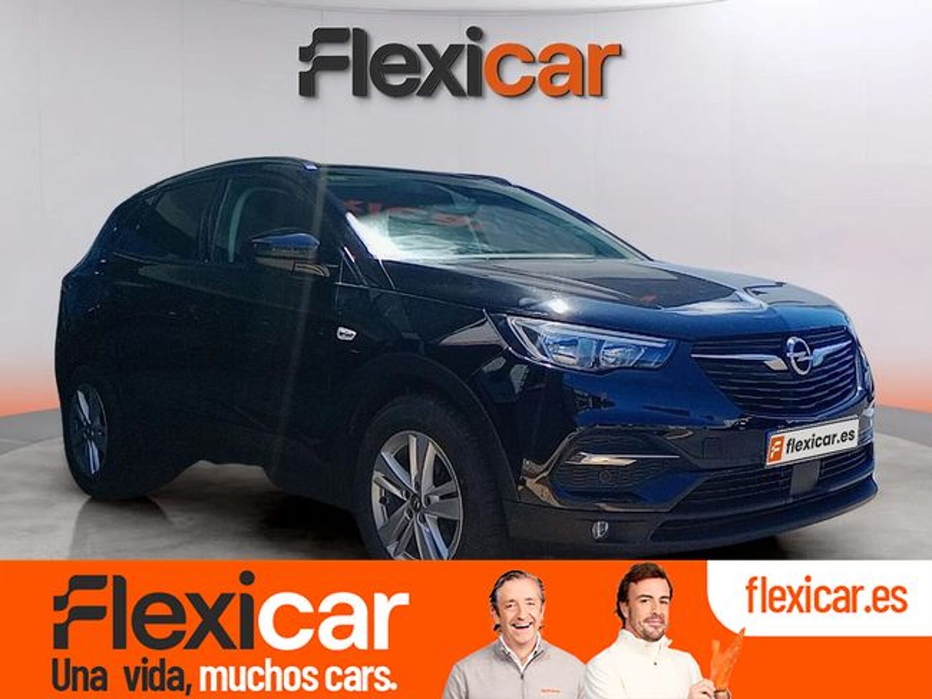Imagen 1 de OPEL Grandland X