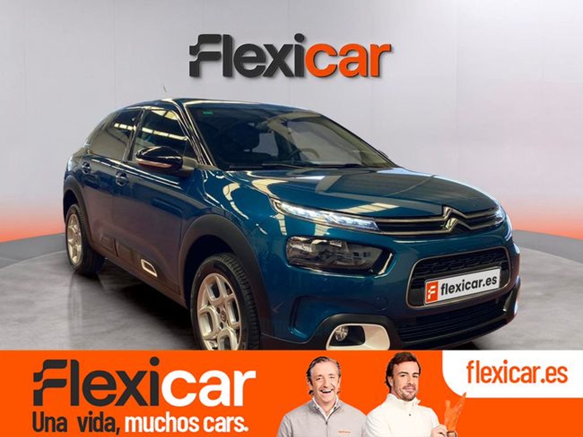 Imagen de CITROEN C4 Cactus