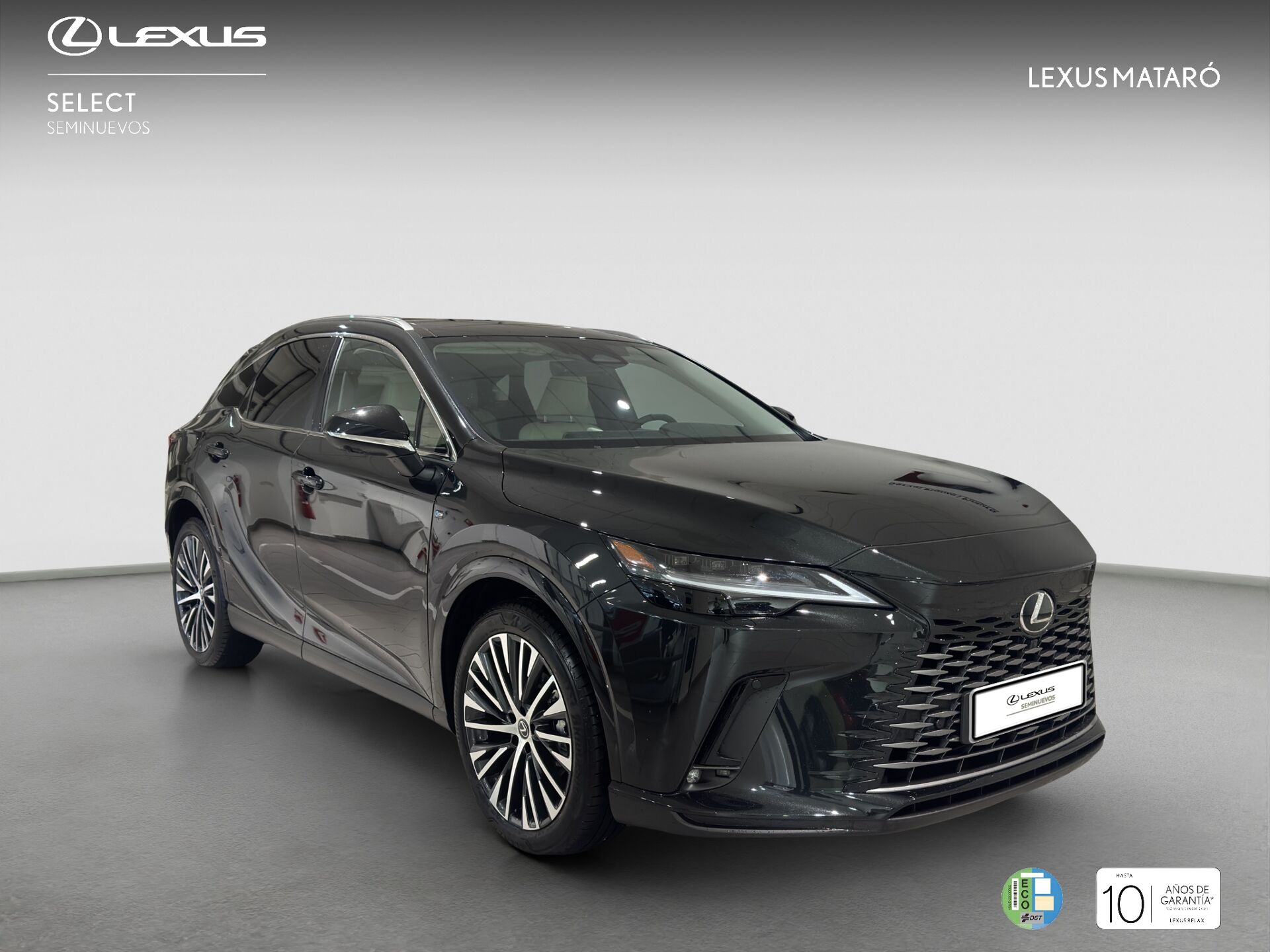Imagen 3 de LEXUS RX
