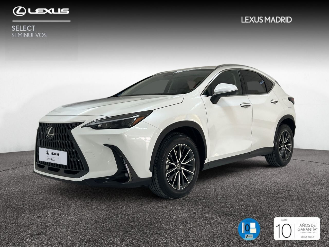 LEXUS NX (450h+ Executive 4WD) en Madrid