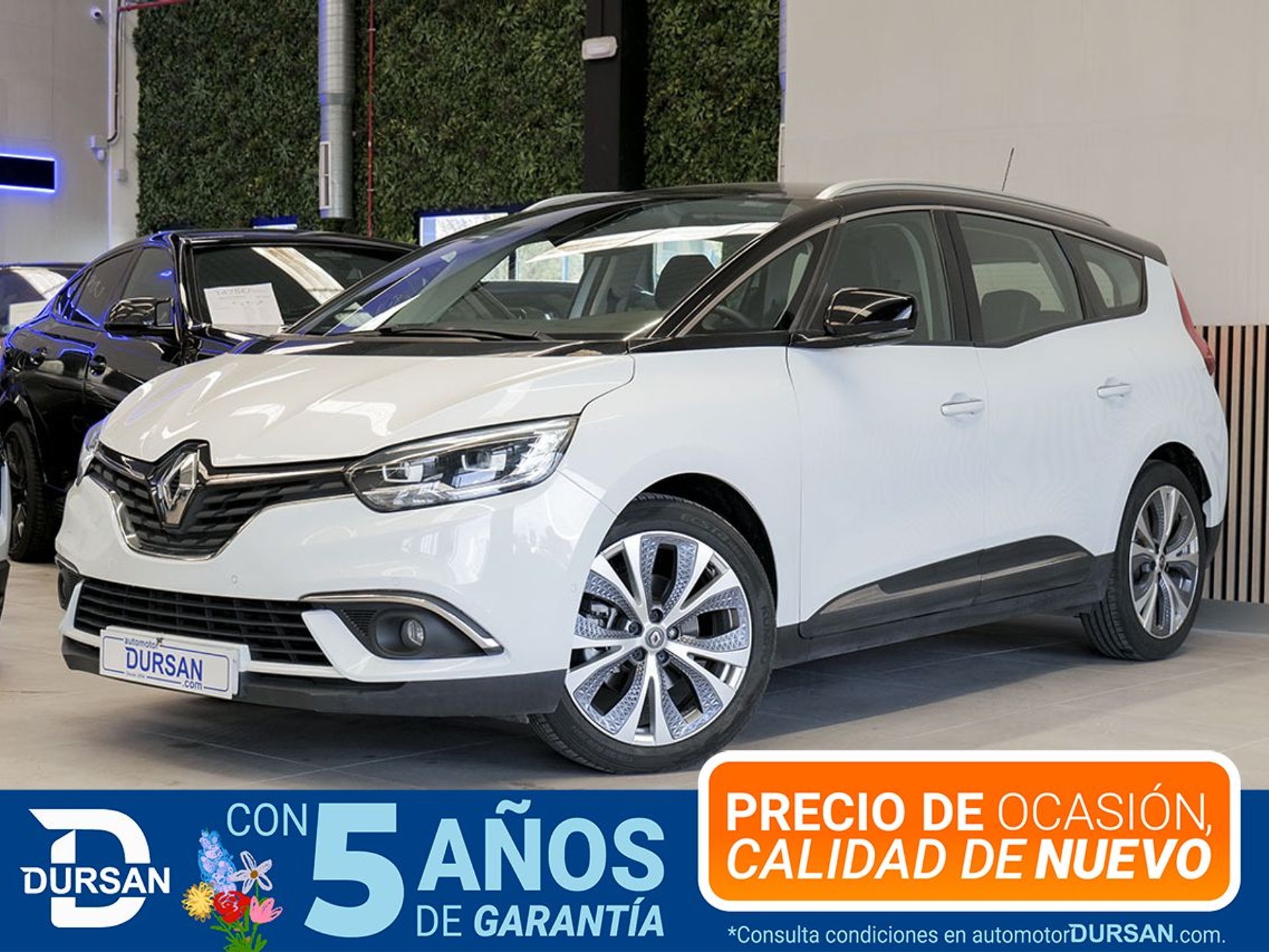 Imagen de RENAULT Scénic