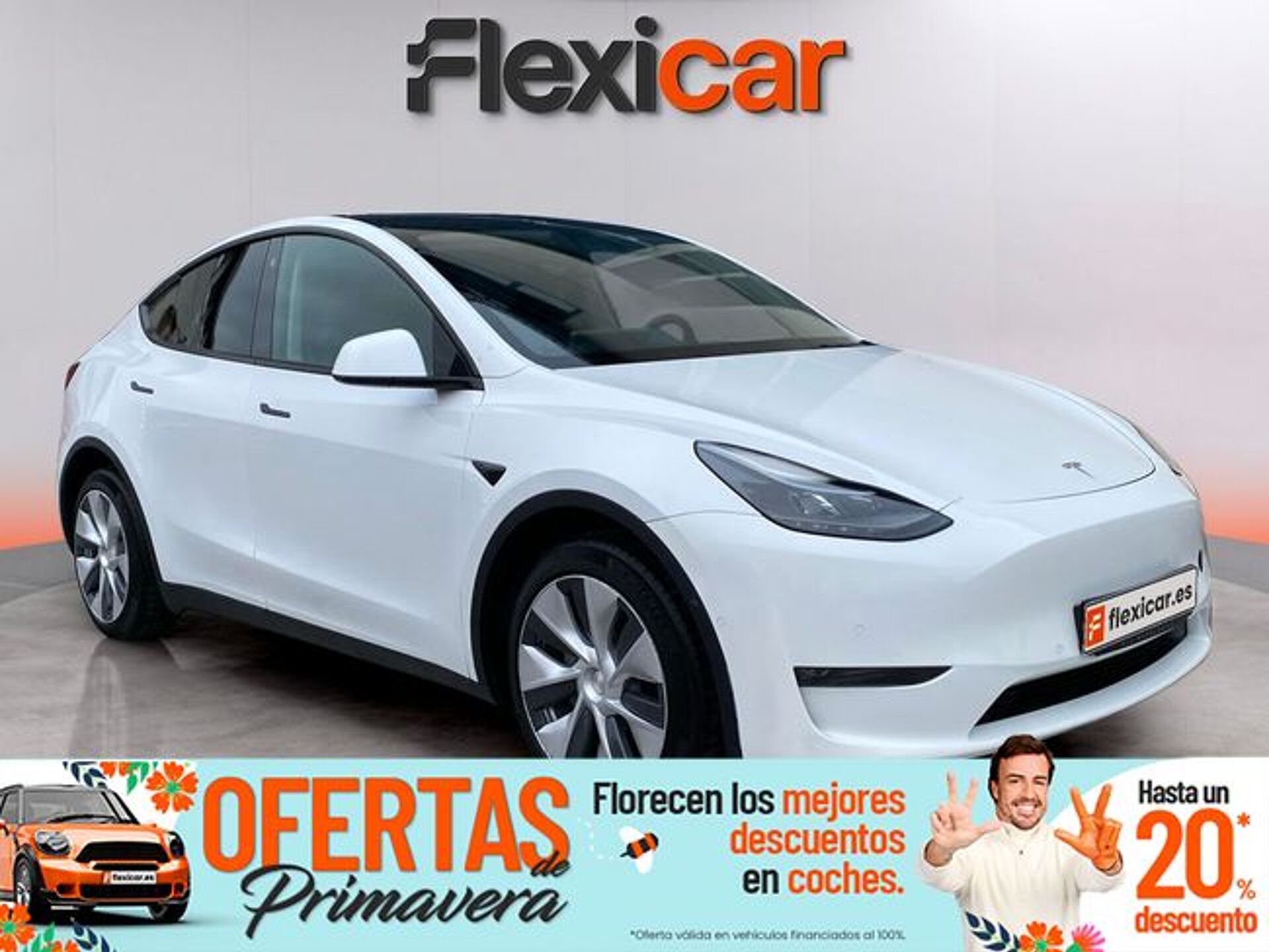 Imagen 1 de TESLA Model Y