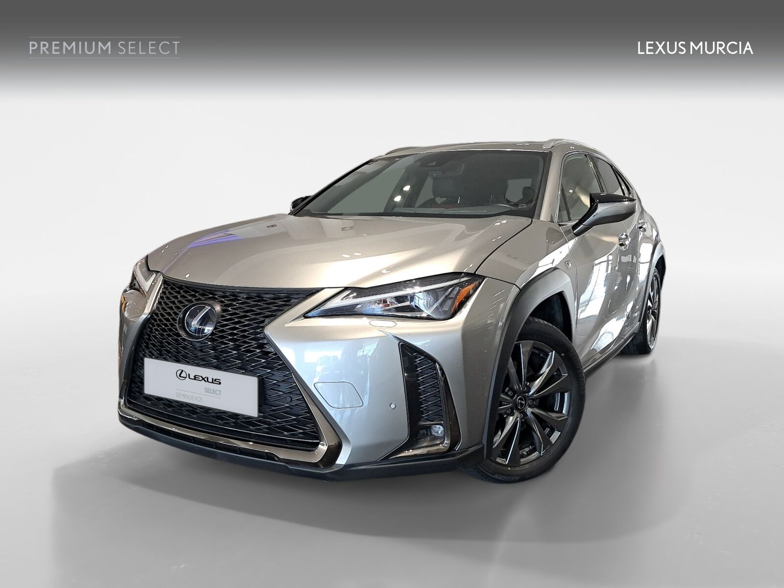 LEXUS UX (UX 250h 2WD) en Murcia