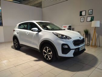 Imagen de KIA Sportage 1.6 MHEV Business 4x4 136