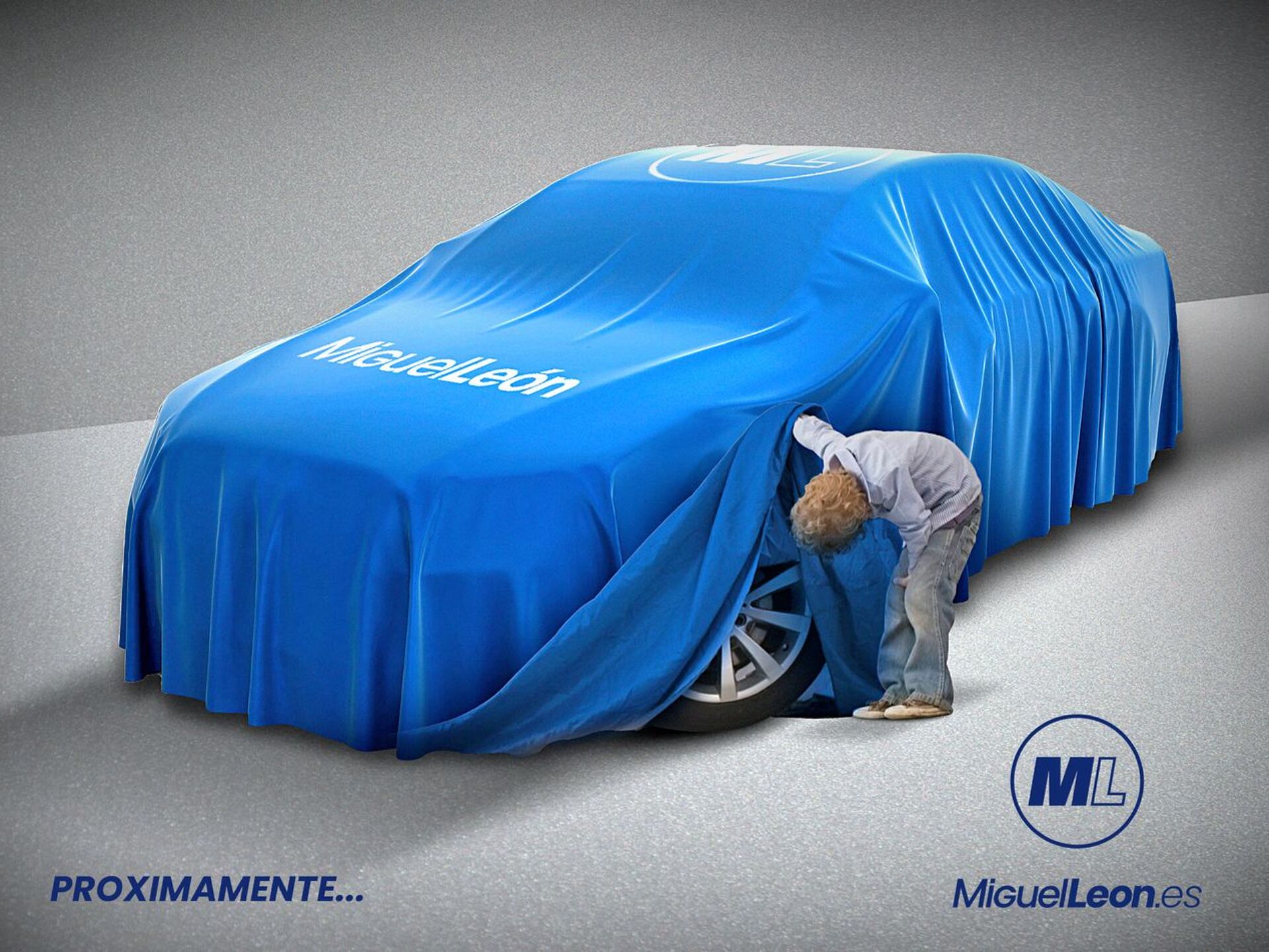 Imagen de VOLKSWAGEN Transporter