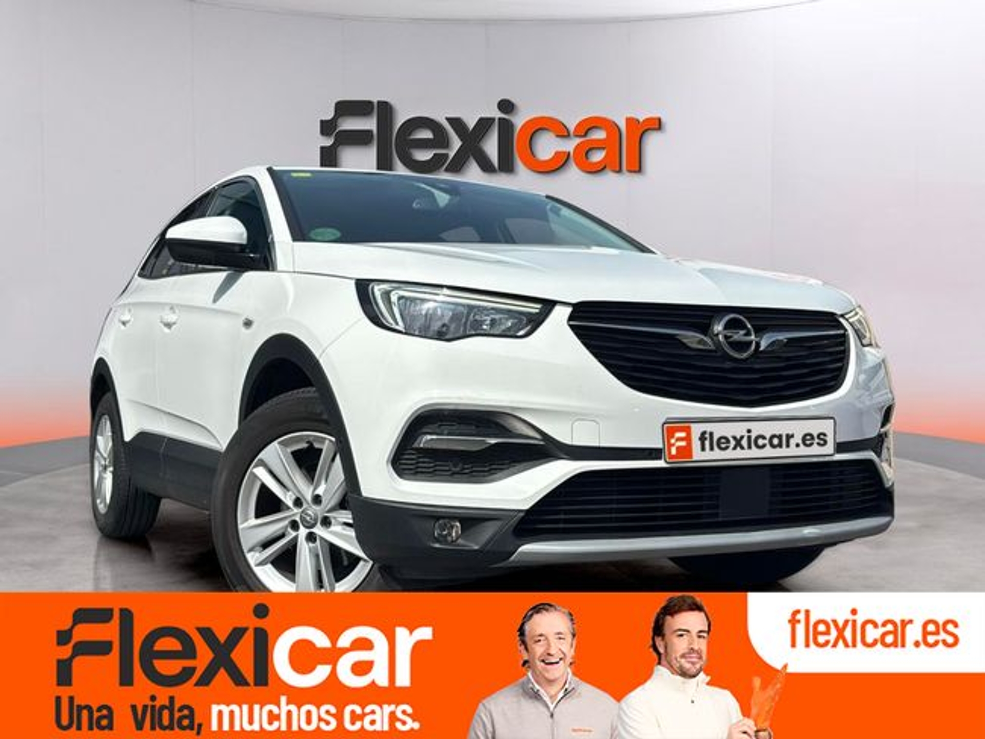 Imagen de OPEL Grandland X