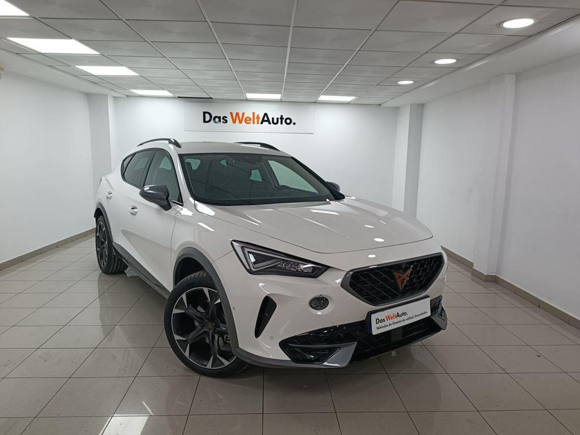 Imagen de CUPRA Formentor