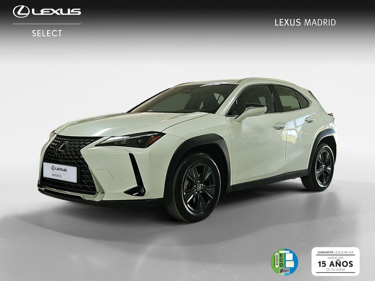 LEXUS UX (2.0 300h Plus) en Madrid