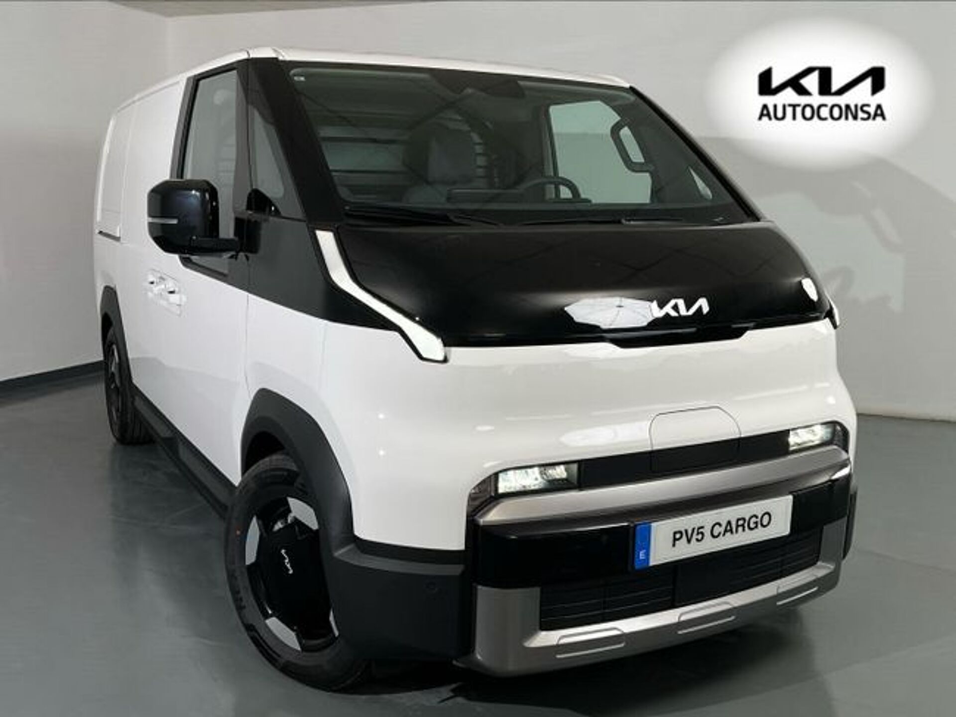 Imagen 1 de KIA PV5