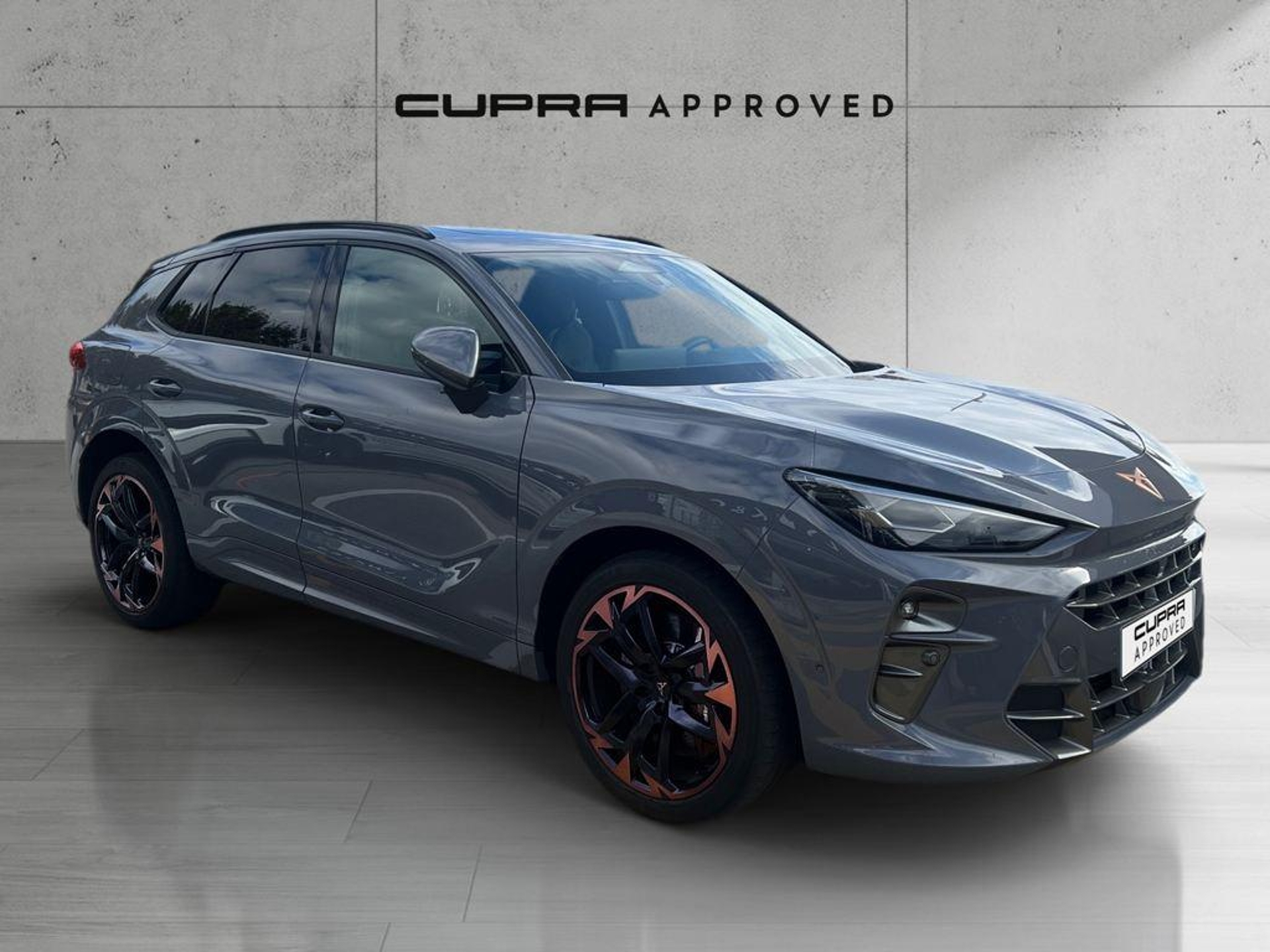 Imagen de CUPRA Terramar