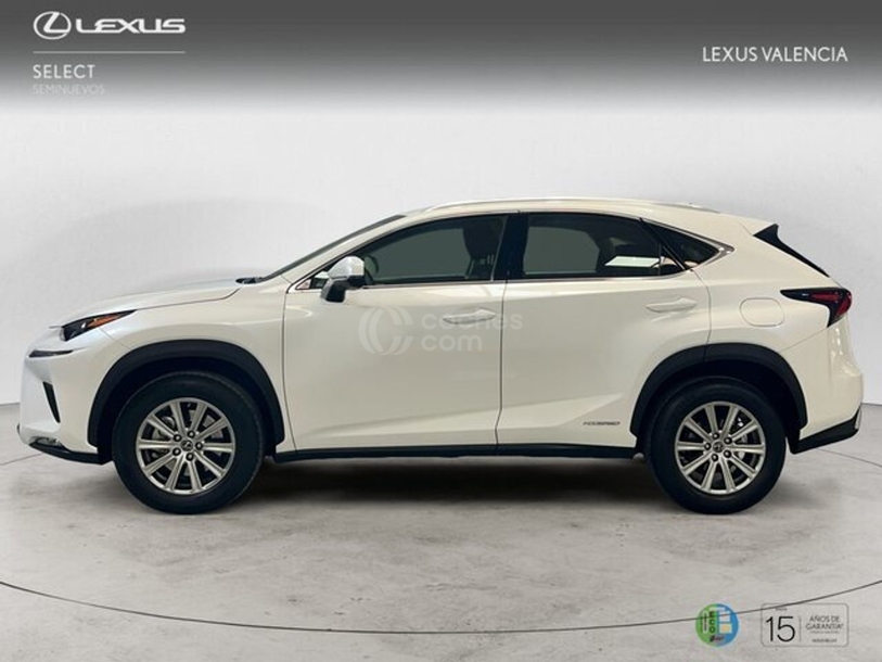 Foto del LEXUS NX 300h Business Navigation 2WD