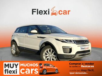 Imagen de LAND ROVER Range Rover Velar 2.0D Standard 4WD Aut. 180