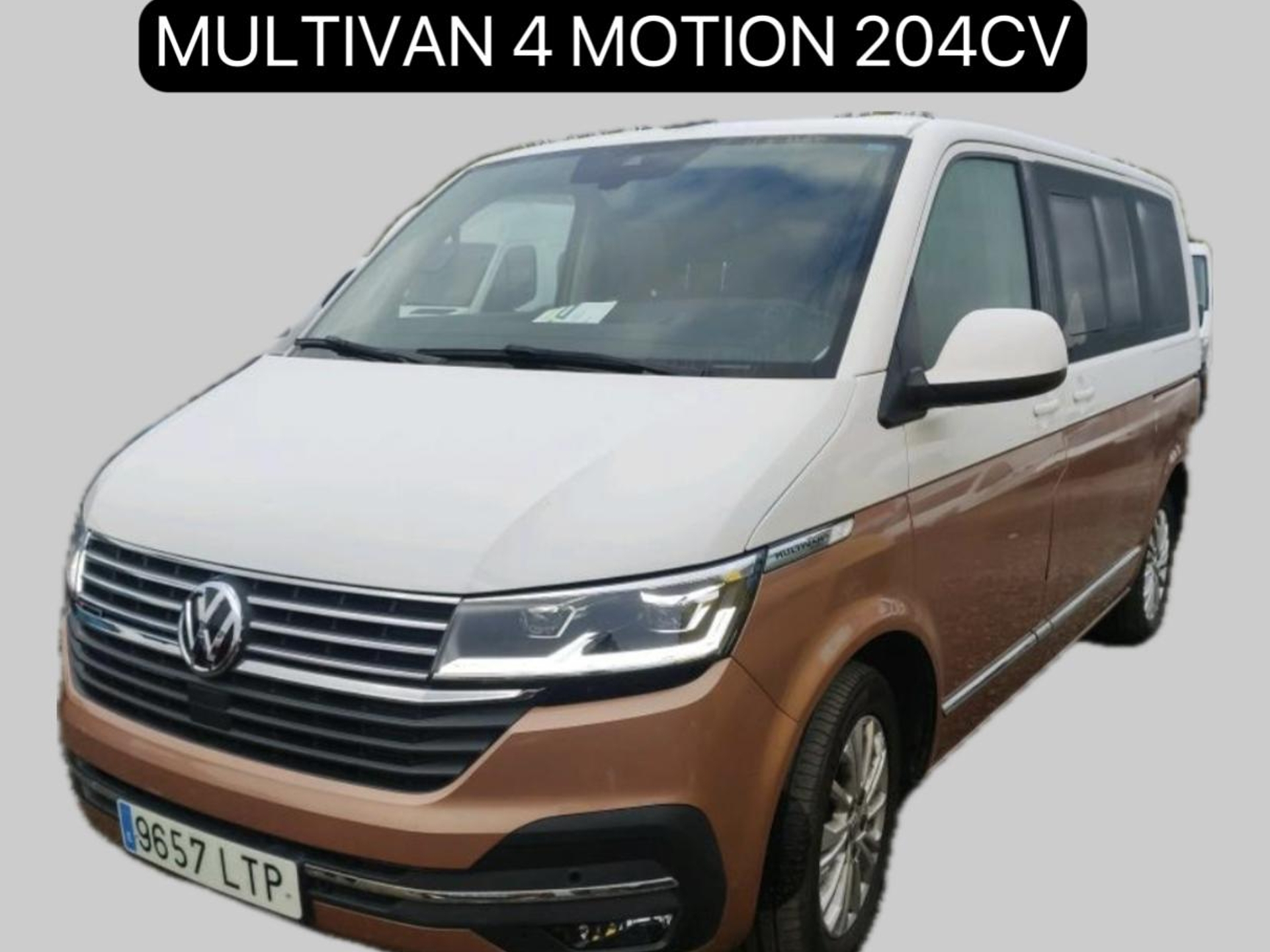 Imagen de VOLKSWAGEN Multivan