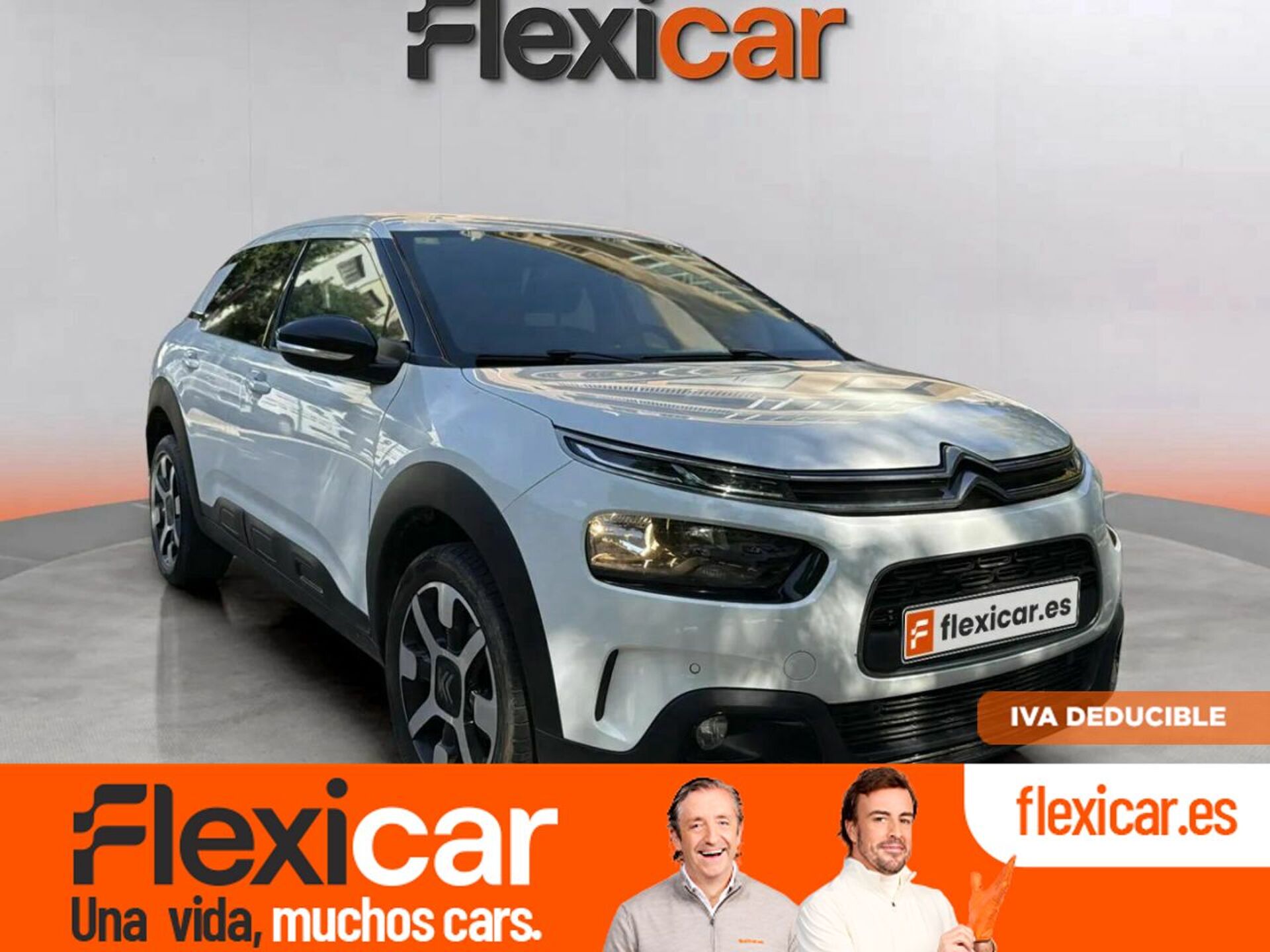 Imagen de CITROEN C4 Cactus