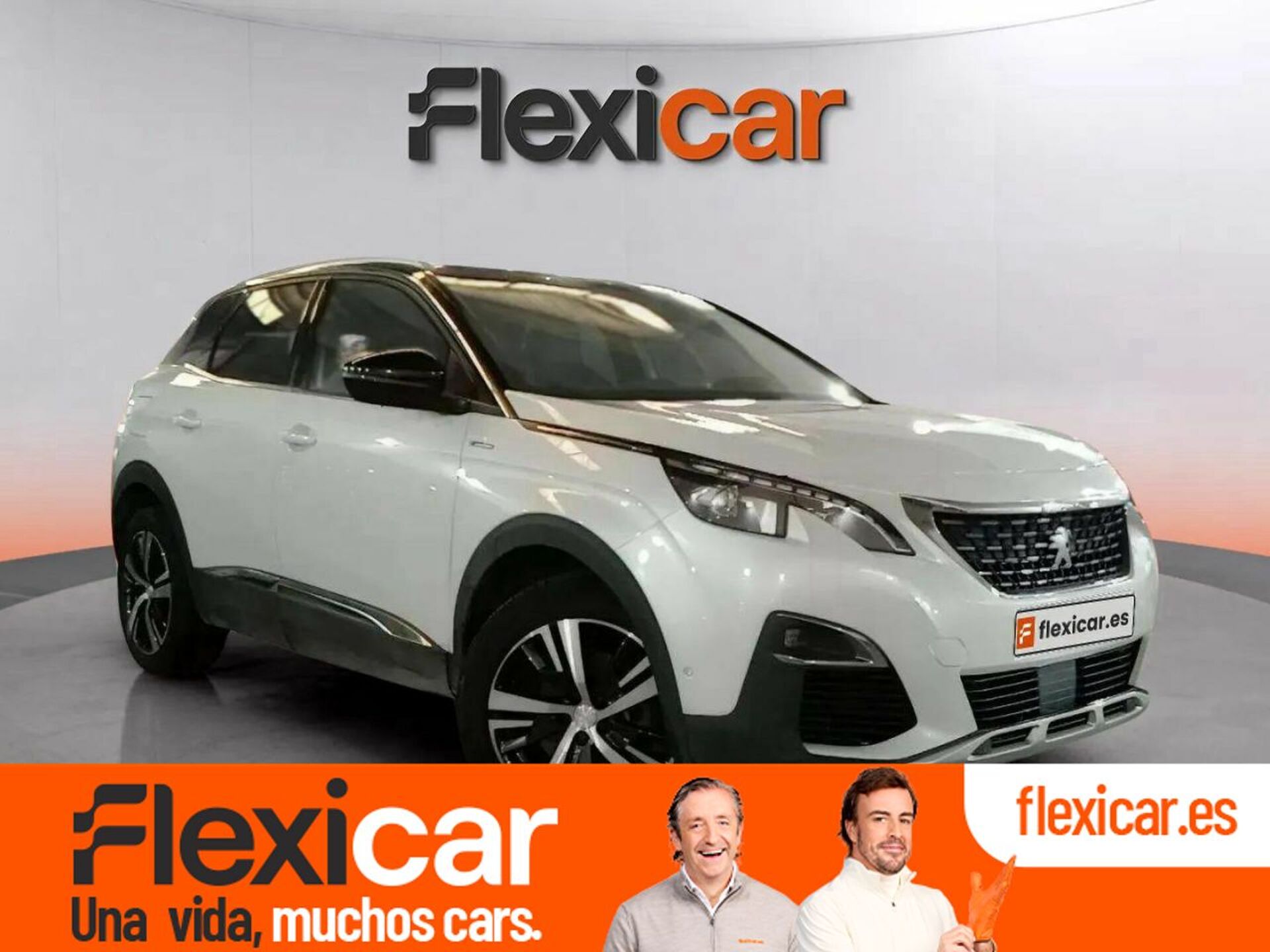 Imagen de PEUGEOT 3008