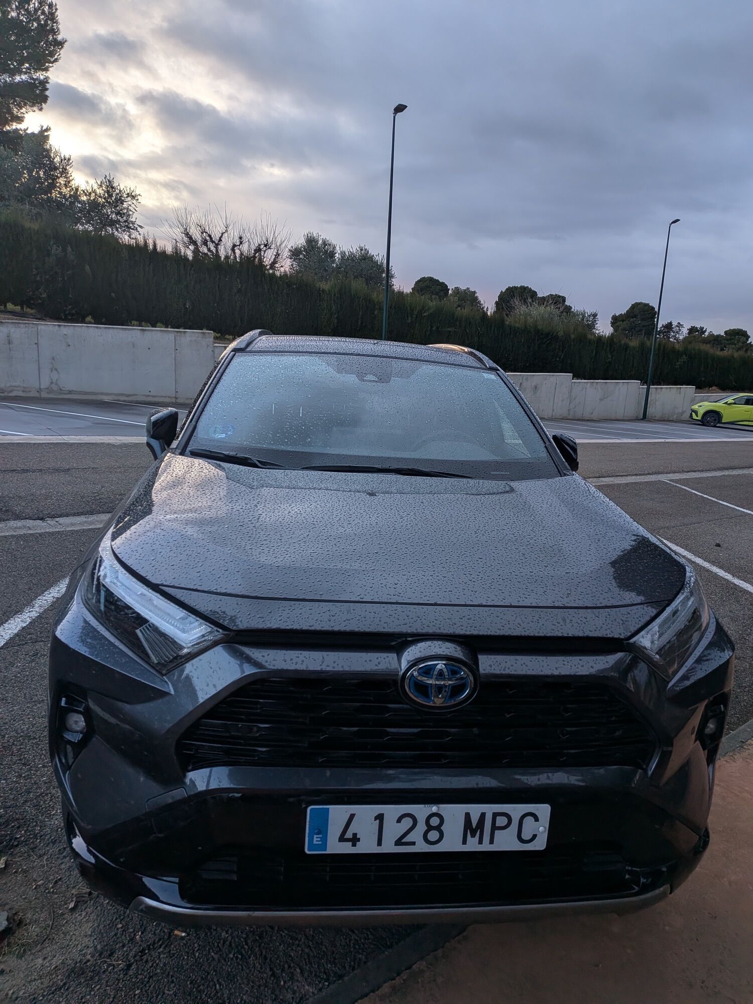Foto del TOYOTA RAV-4 2.5 hybrid 2WD Style