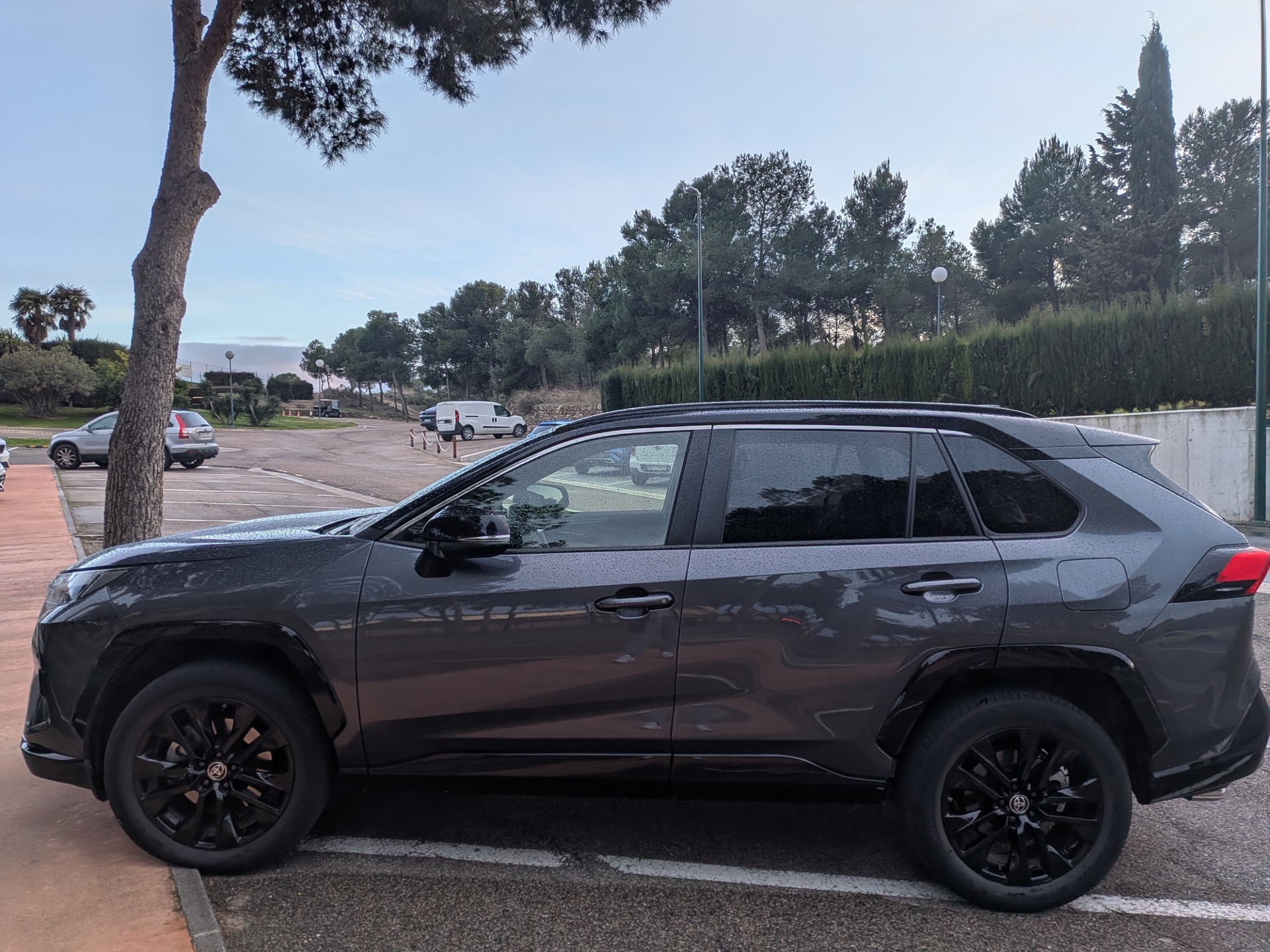 Imagen de TOYOTA RAV-4